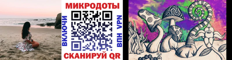 Псилоцибиновые грибы Cubensis  Купить закладки  Когалым 